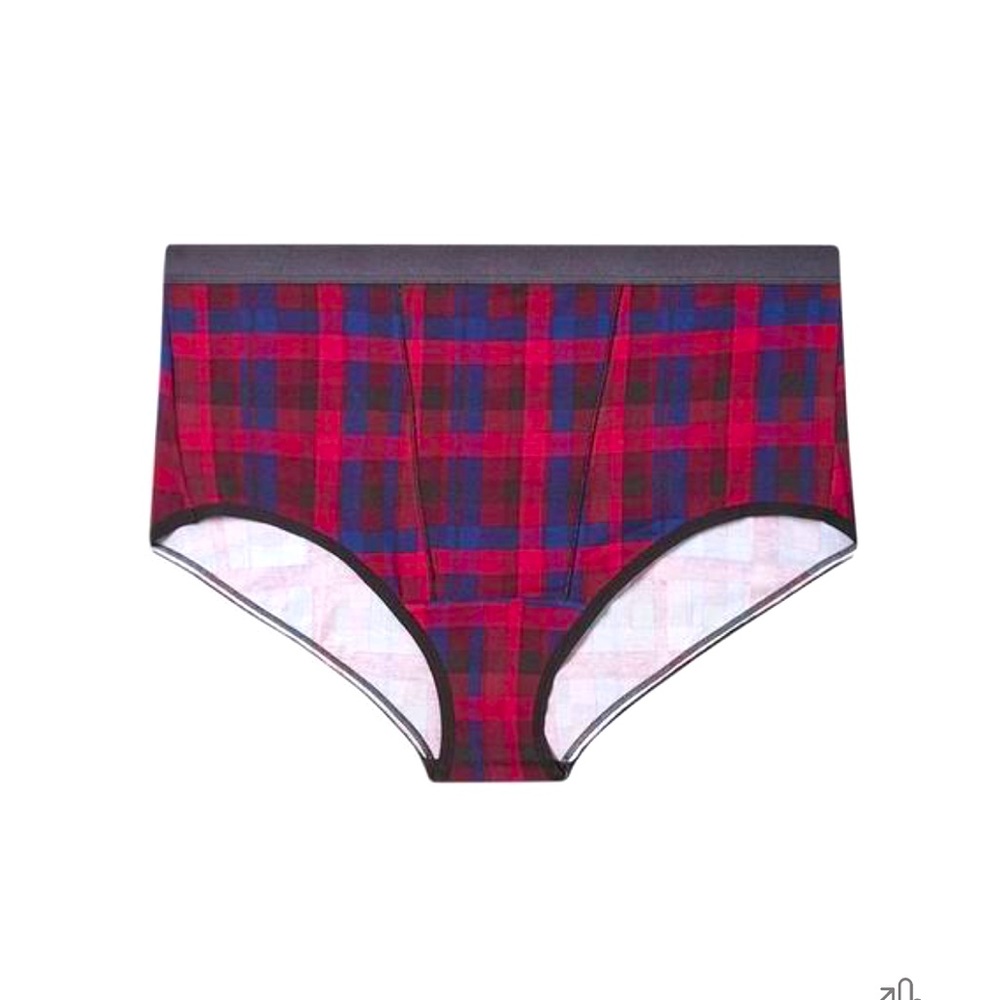 Torrid high waist cotton  briefs
